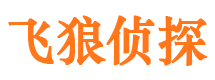 宁都外遇出轨调查取证